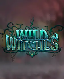 Wild Witches